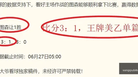澳昆超独家预测网球比赛平台：挑战领头羊，能否成功抢分