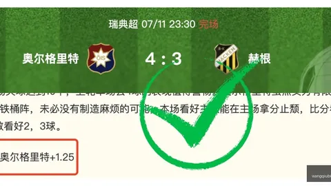 备战新赛季，尤文球，网球比赛平台，星布雷默度假归来，备战训练基地集结